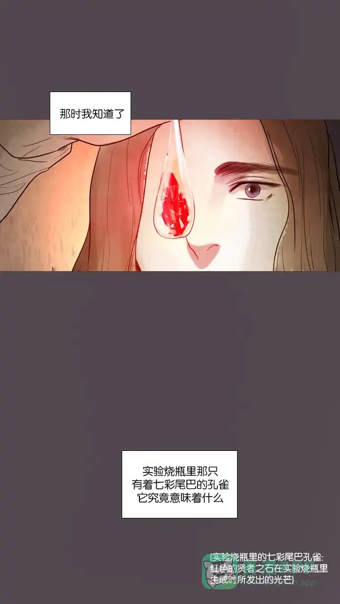《冬之森》第104话 第35页