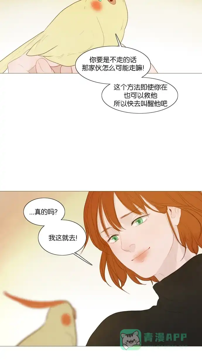 《冬之森》第117话 第38页