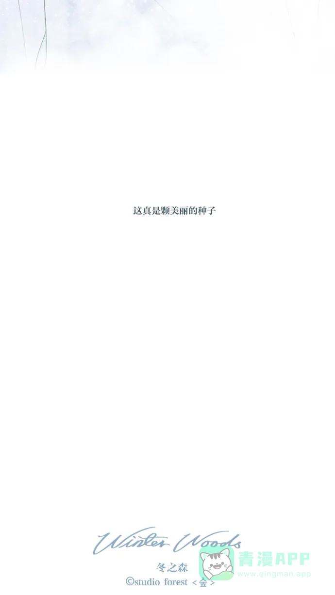 《冬之森》【免费】第二季 预告 第16页