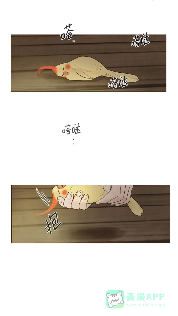 《冬之森》第85话 第38页