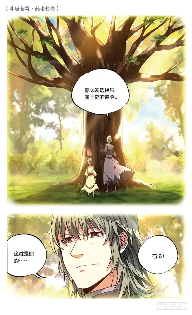 《斗破苍穹·药老传奇》【第七十三话】拍卖会混战（上） 第8页
