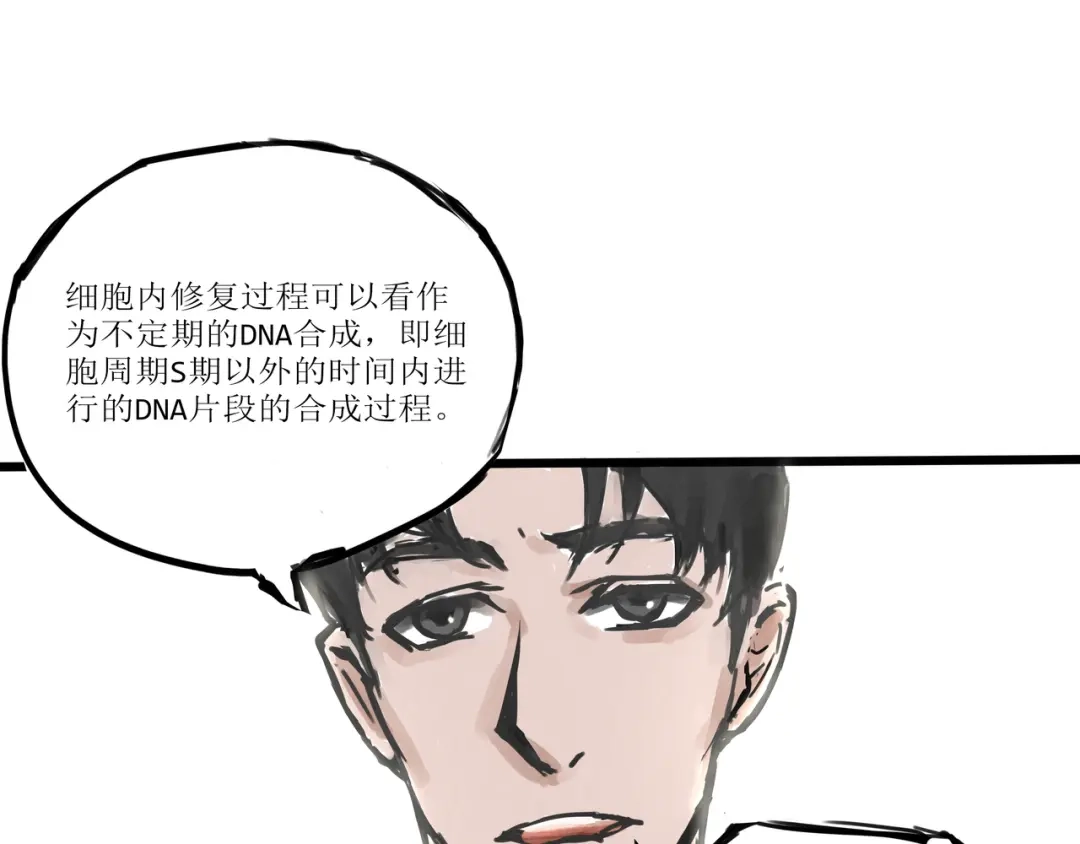 《端脑进化》荷花水族 第1页