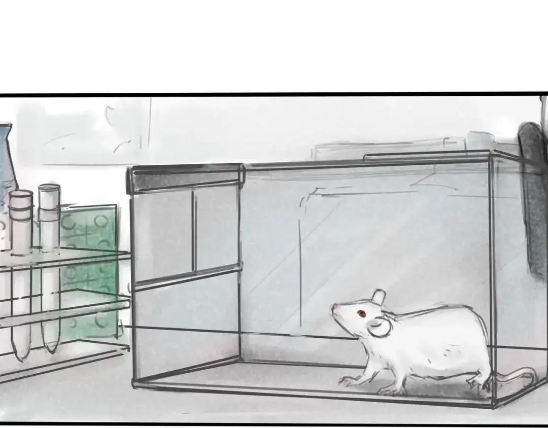 《端脑进化》陌生邮件 第5页
