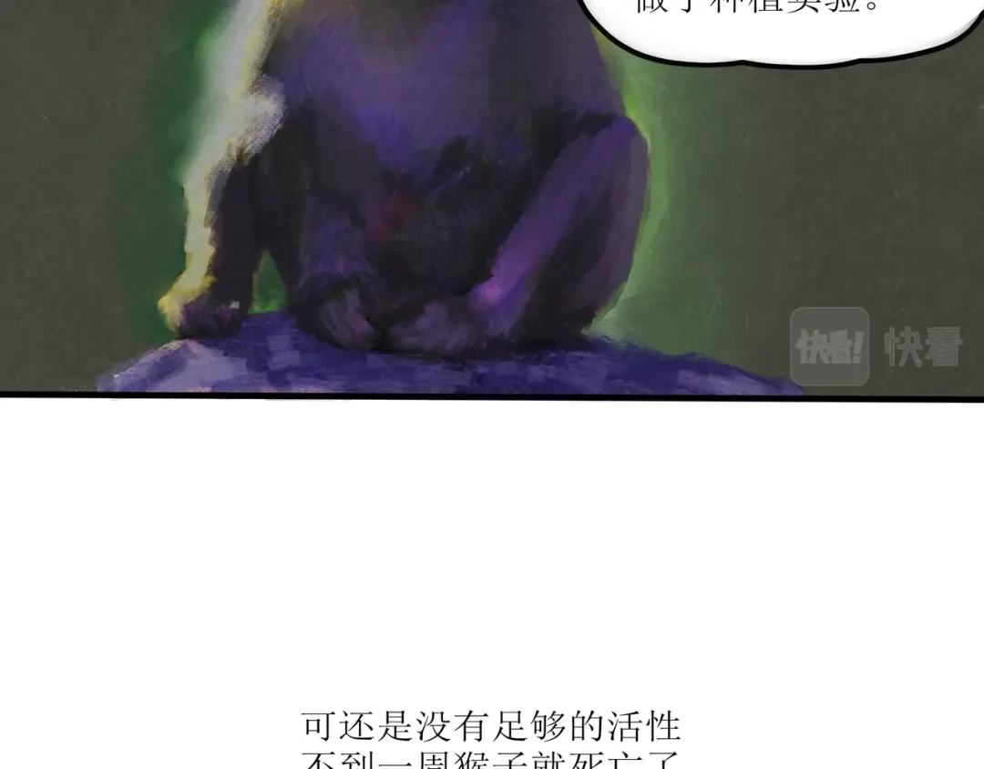 《端脑进化》一颗流星 第21页