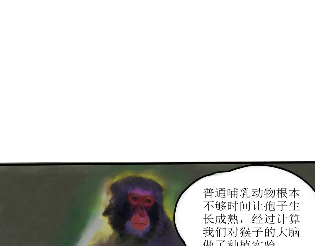 《端脑进化》一颗流星 第20页