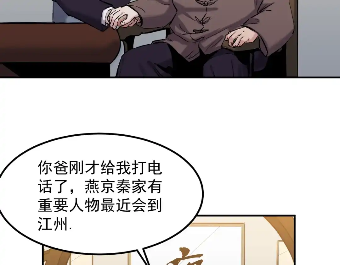 《都市巅峰神医》第53话 叶家 第9页