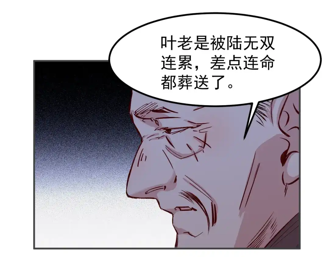 《都市巅峰神医》第53话 叶家 第42页