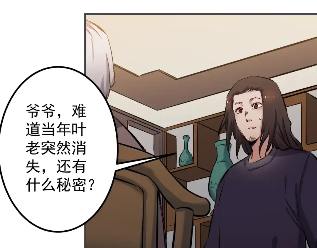 《都市巅峰神医》第53话 叶家 第40页