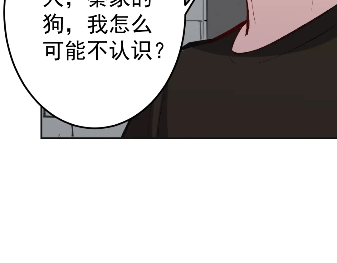 《都市巅峰神医》第54话 军刀 第40页