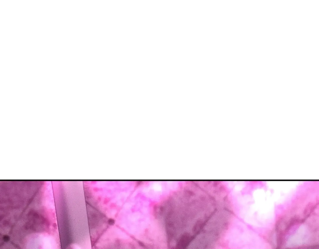117.jpg