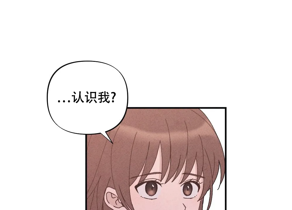 《独行鸟》第17话 第14页