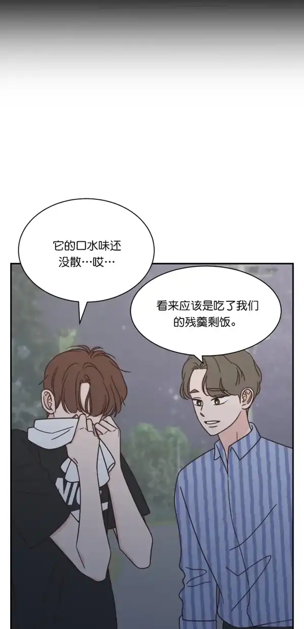 《独一无二的浪漫》第114话 第43页