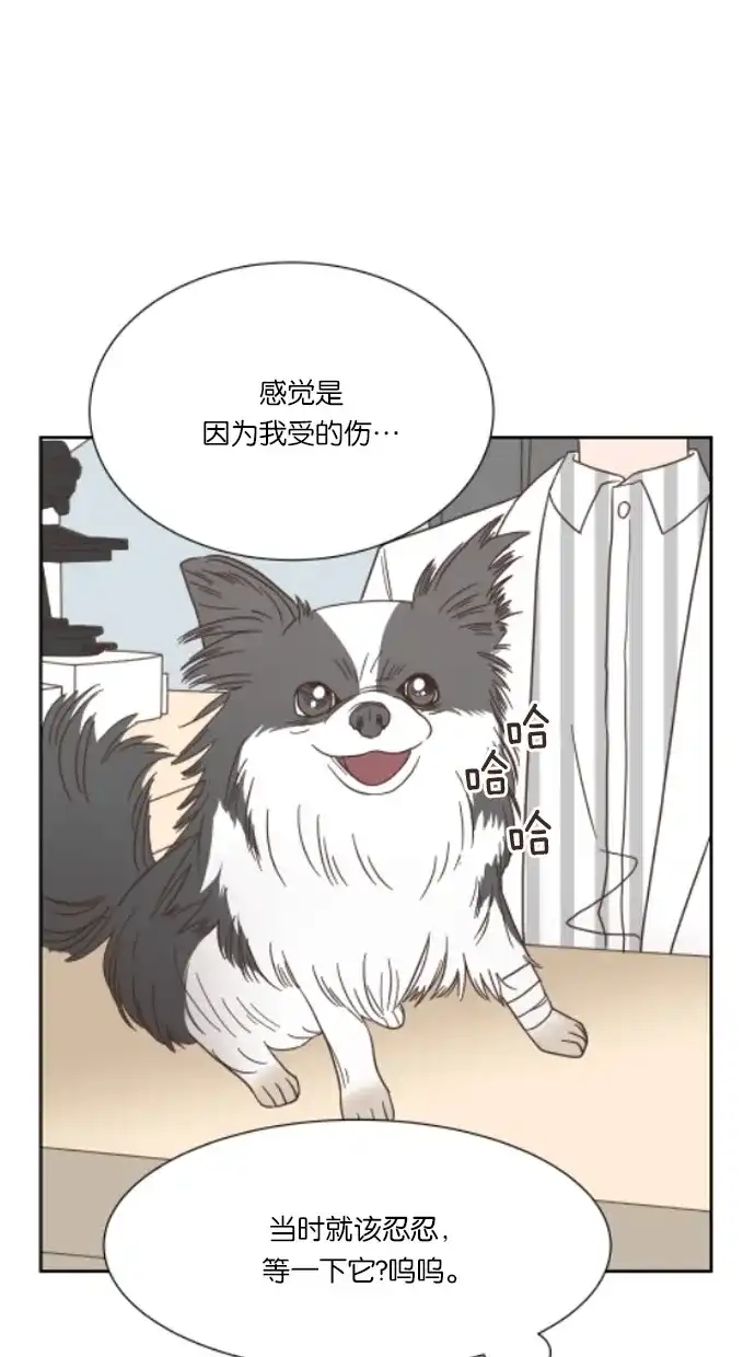 《独一无二的浪漫》第45话 第10页