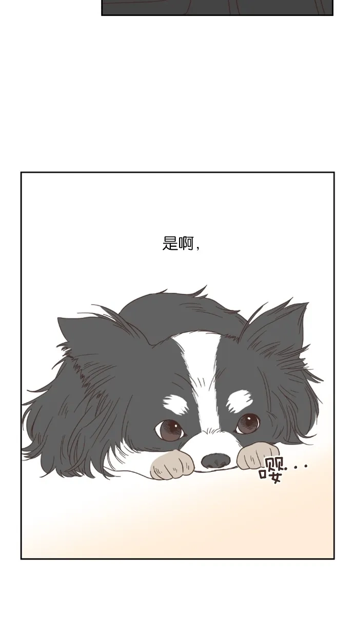 《独一无二的浪漫》第45话 第17页