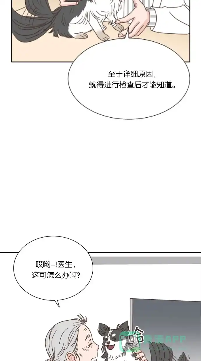 《独一无二的浪漫》第45话 第6页