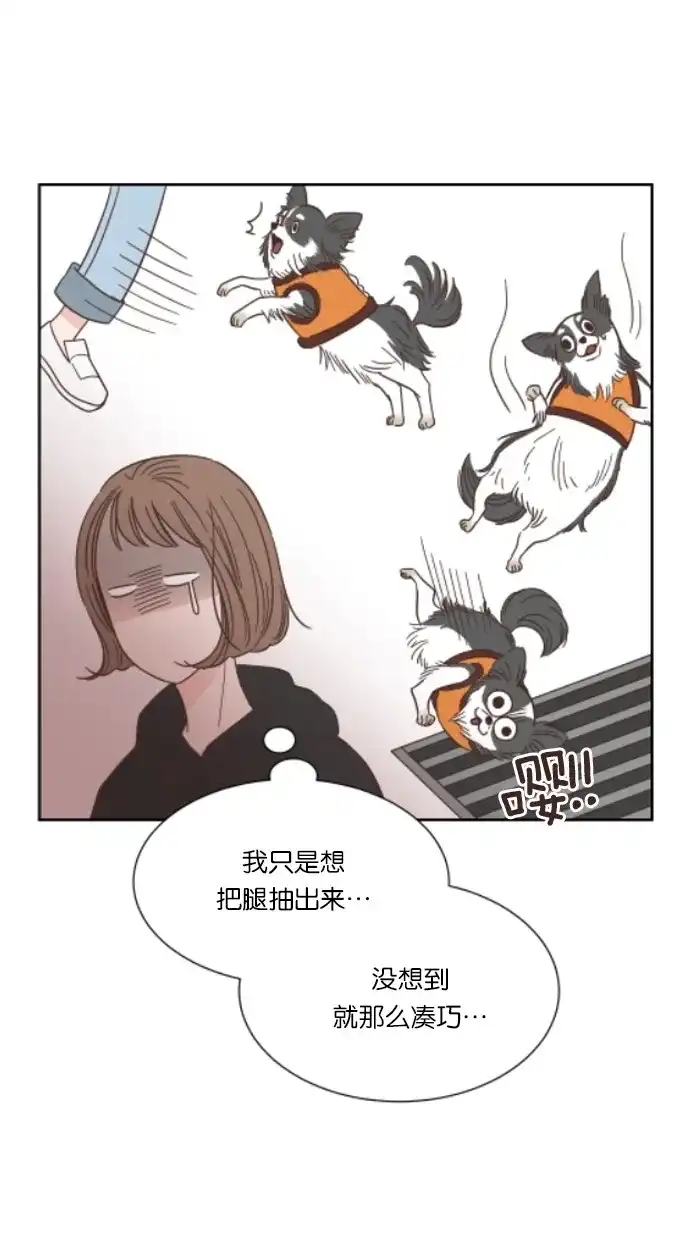 《独一无二的浪漫》第45话 第9页