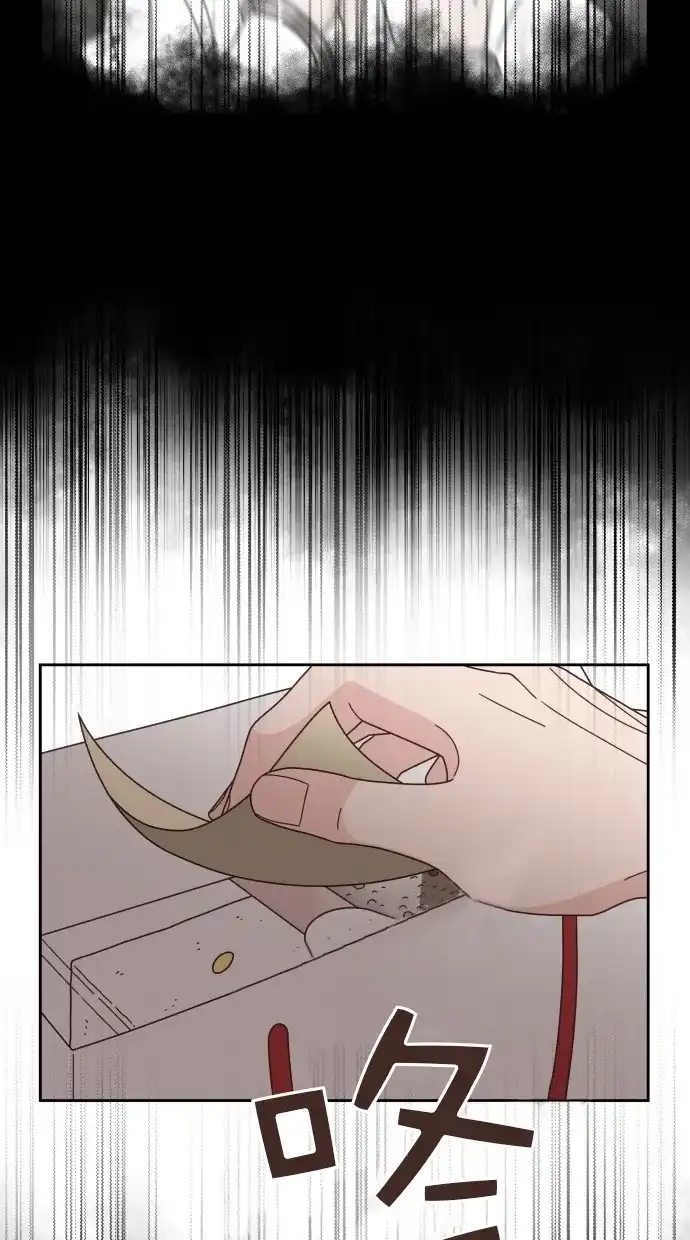 《独一无二的浪漫》第80话 第75页