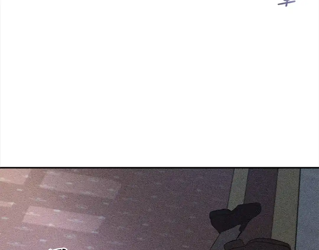 154.jpg