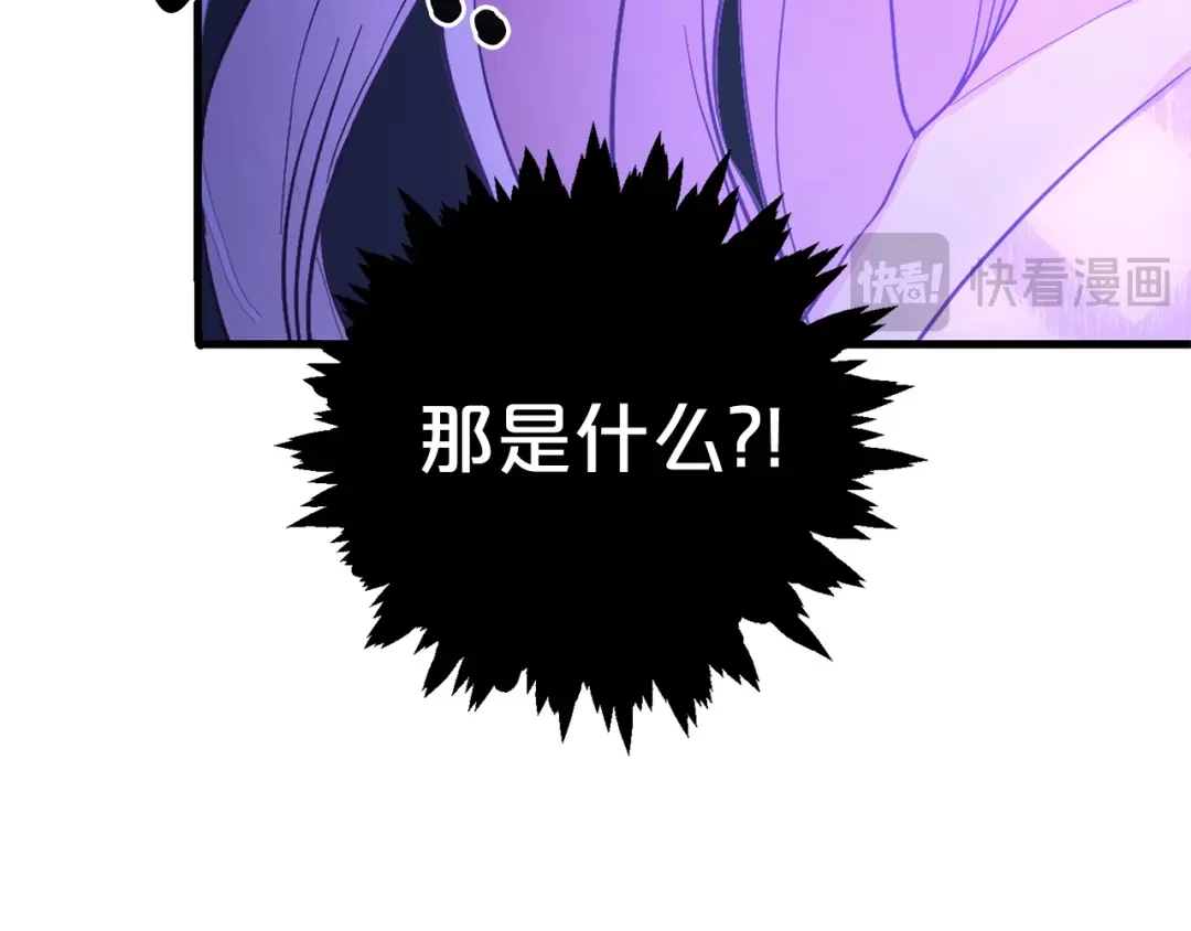 113.jpg