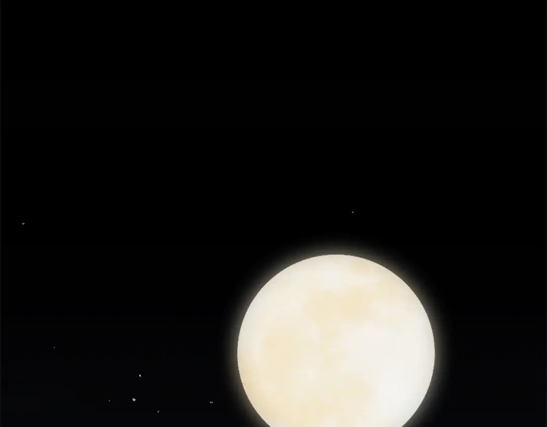 225.jpg