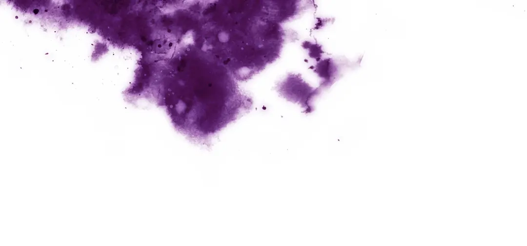 100.jpg