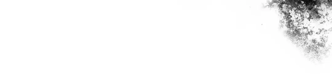 197.jpg