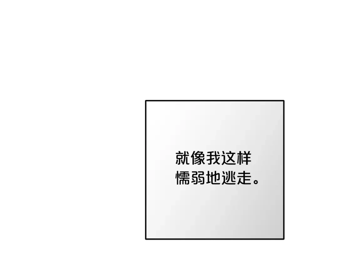 213.jpg