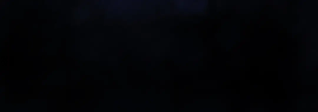 233.jpg
