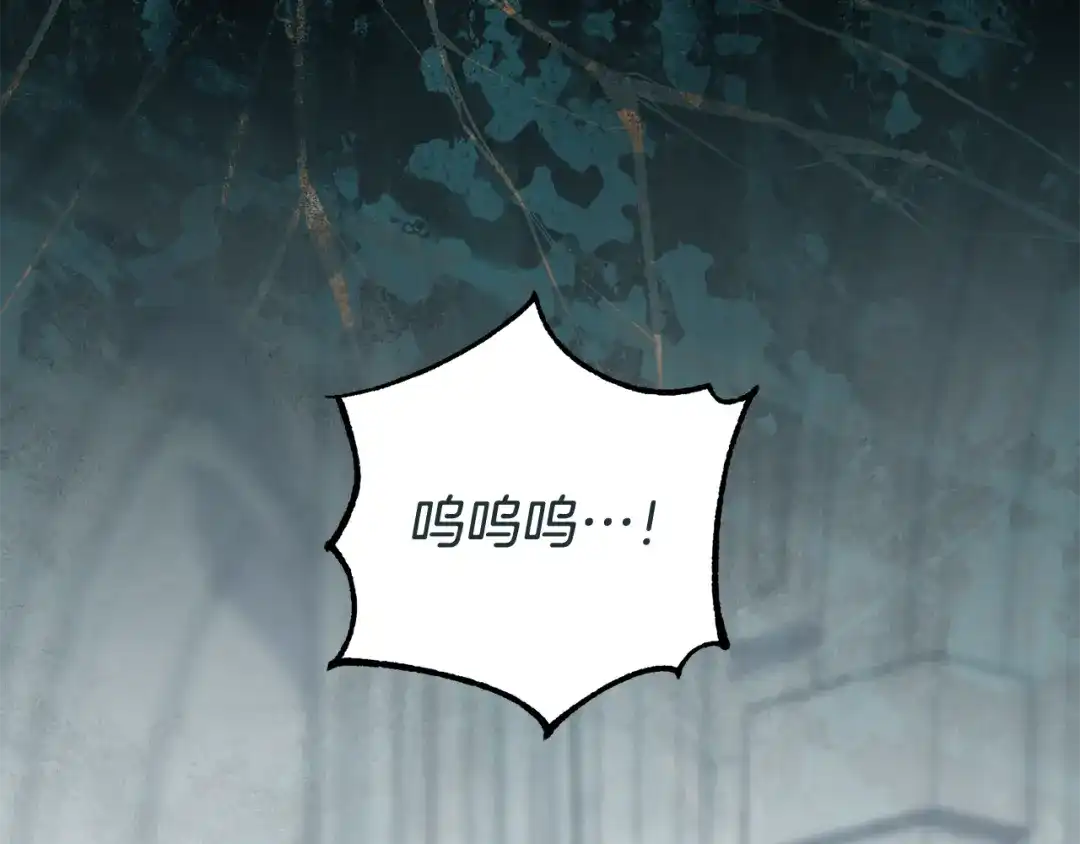 184.jpg