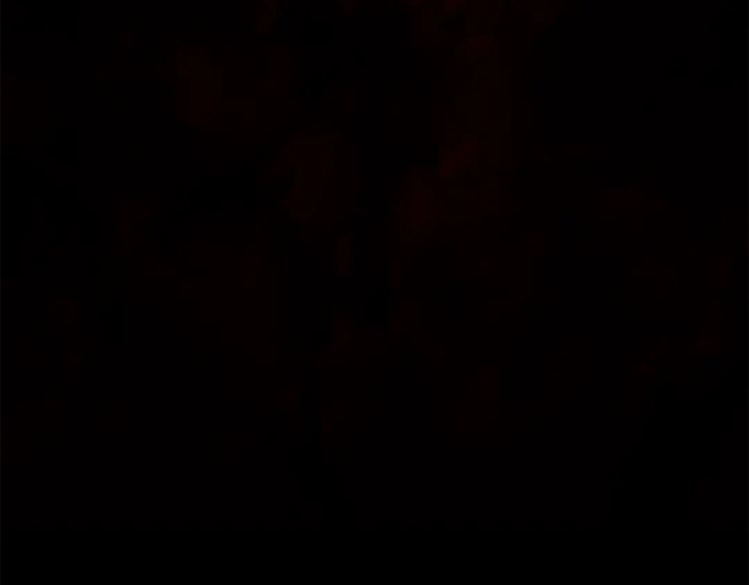 156.jpg