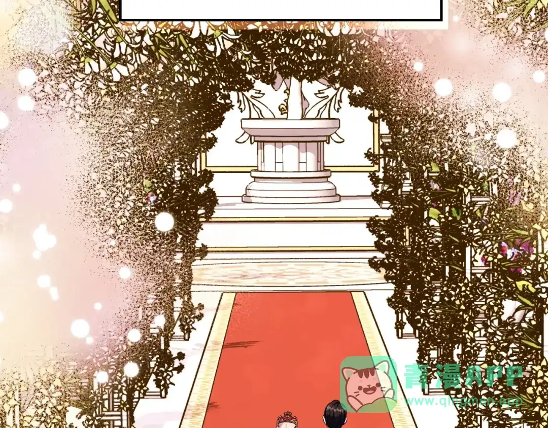 《恶毒配角的美德》完结话 我们结婚啦 第161页