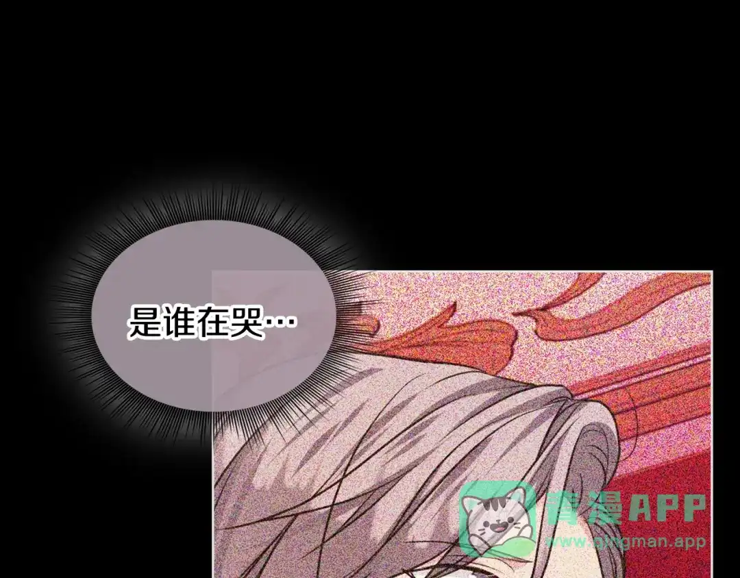 《恶毒配角的美德》番外2 陛下遇袭了！ 第11页