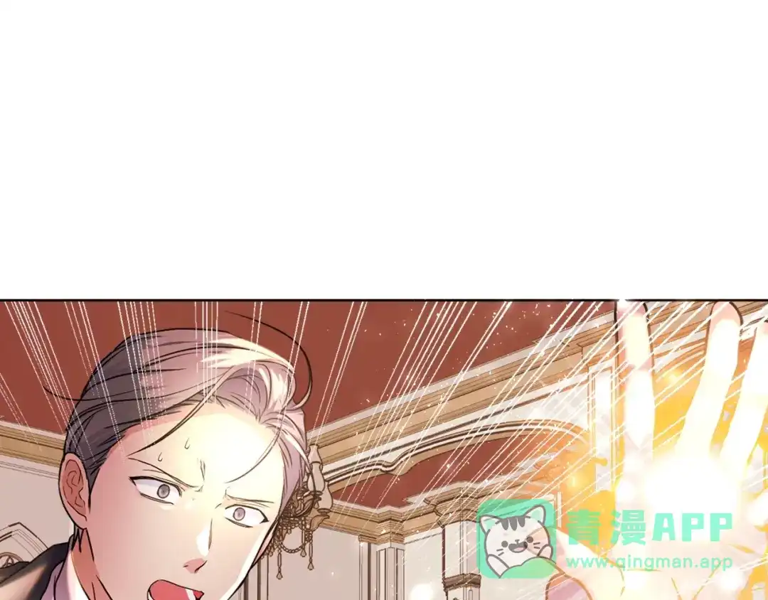 《恶毒配角的美德》番外2 陛下遇袭了！ 第111页