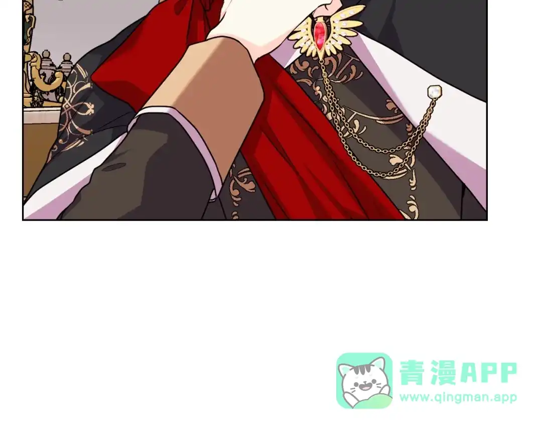 《恶毒配角的美德》番外2 陛下遇袭了！ 第66页
