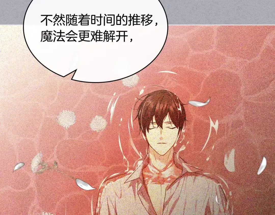 《恶毒配角的美德》番外7 野餐 第63页
