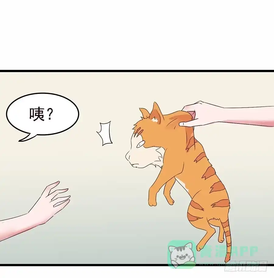 《恶灵调教女王》Part12·小恶魔之卷（一） 第16页