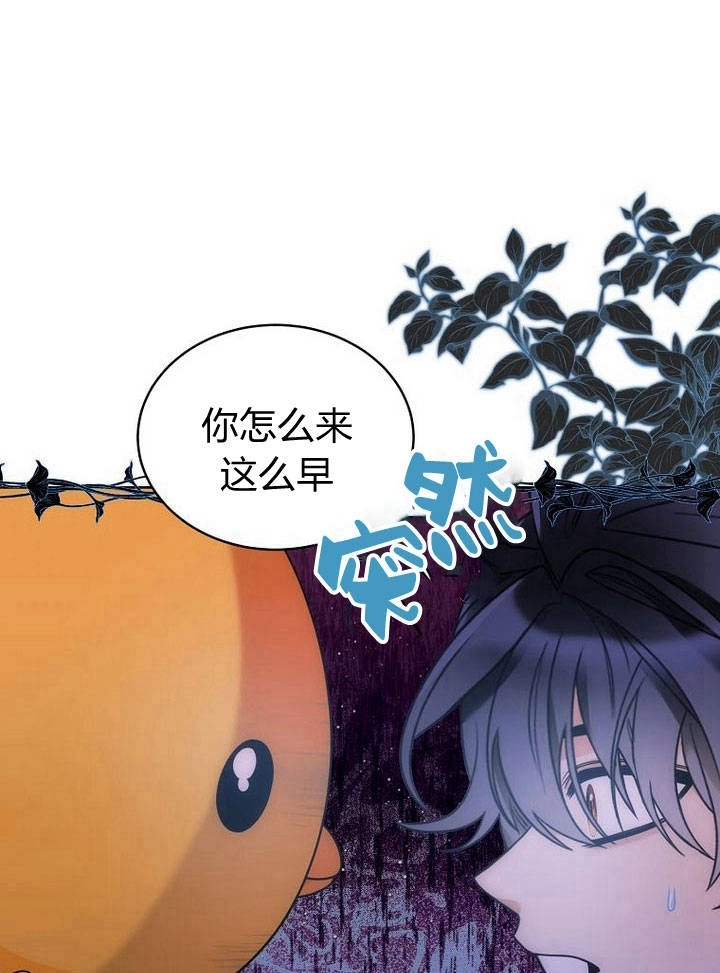 恶女皇后超喜欢我 第35话 第65页