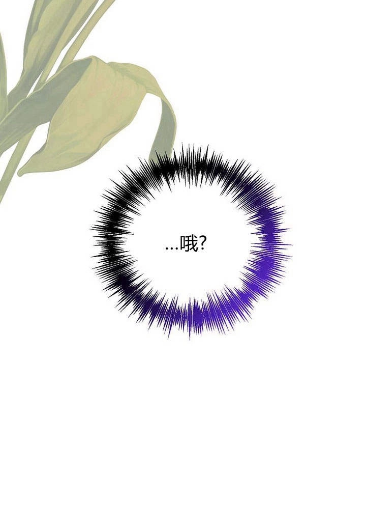 恶女皇后超喜欢我 第37话 第95页