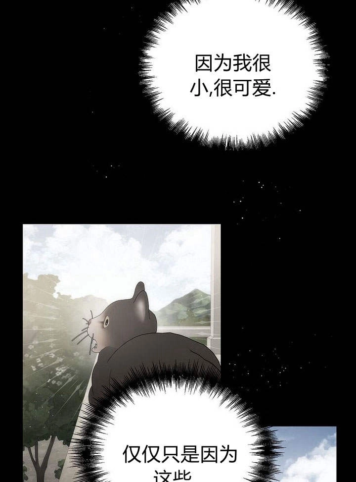恶女皇后超喜欢我 第38话 第23页