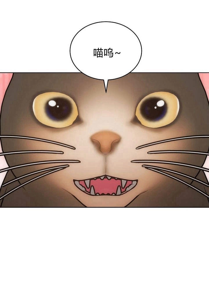 恶女皇后超喜欢我 第41话 第13页