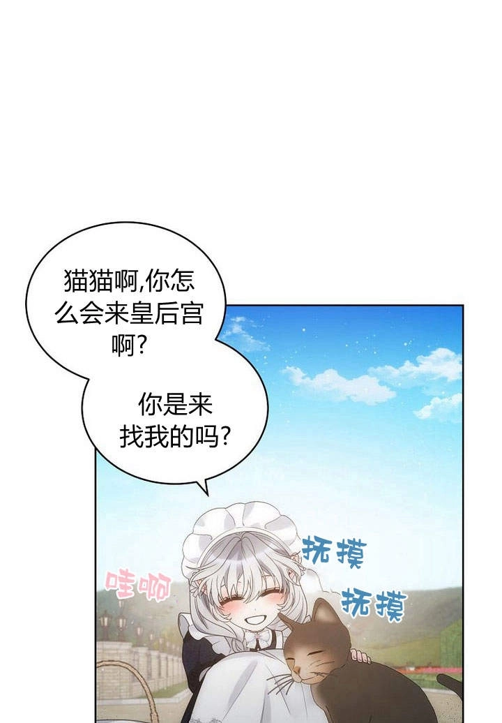 恶女皇后超喜欢我 第41话 第14页