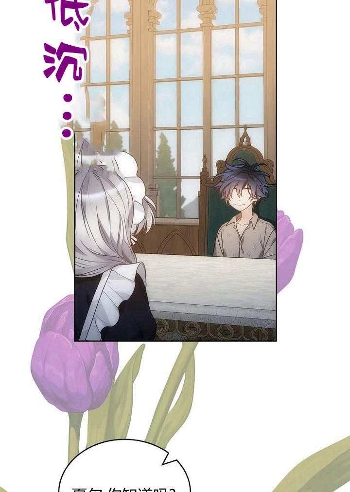 恶女皇后超喜欢我 第46话 第17页