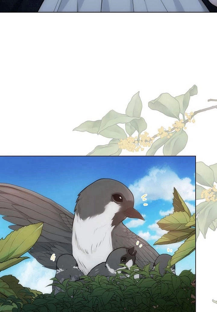 恶女皇后超喜欢我 第54话 第64页