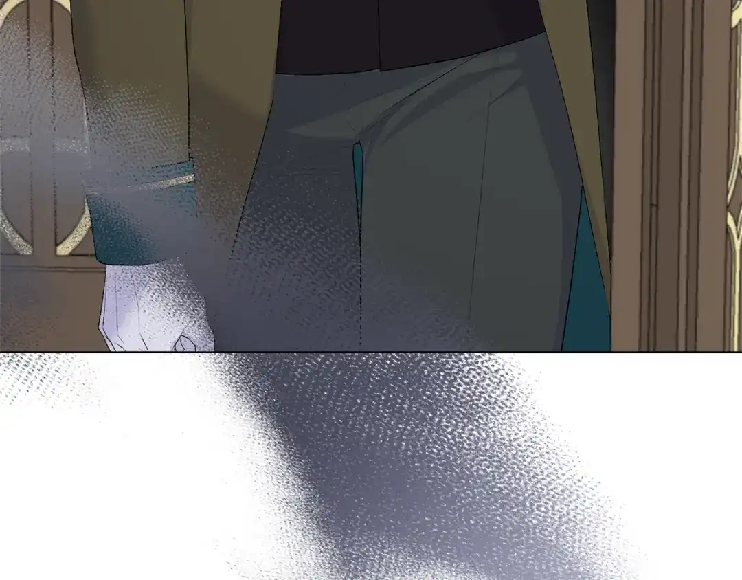 141.jpg