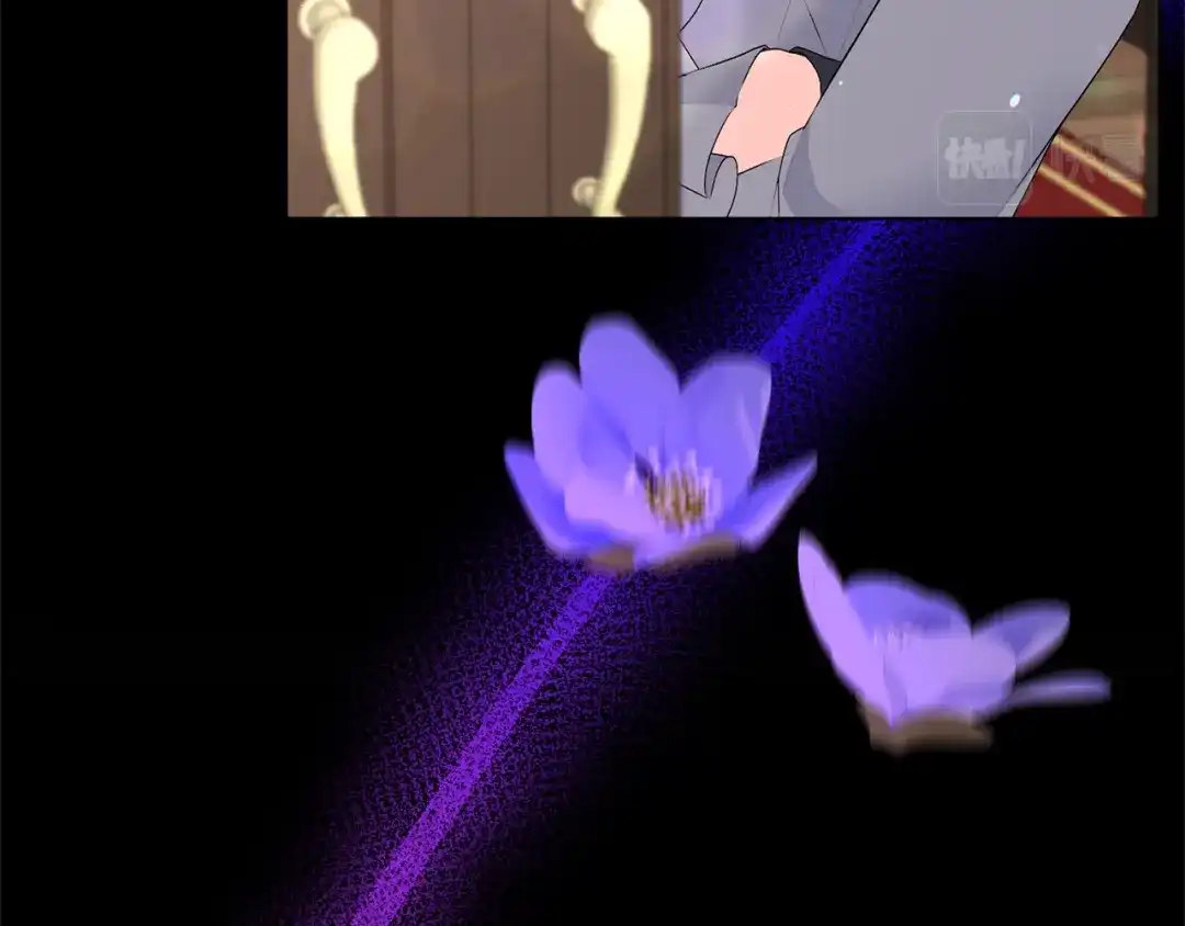 136.jpg