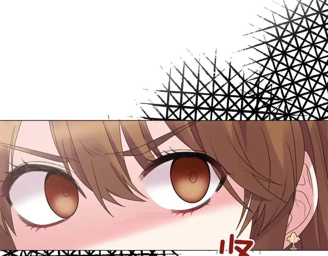 120.jpg