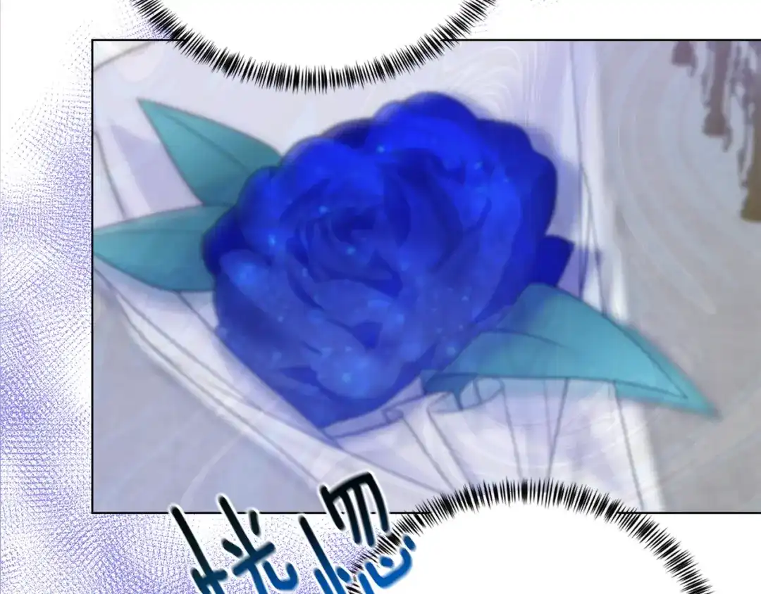 91.jpg
