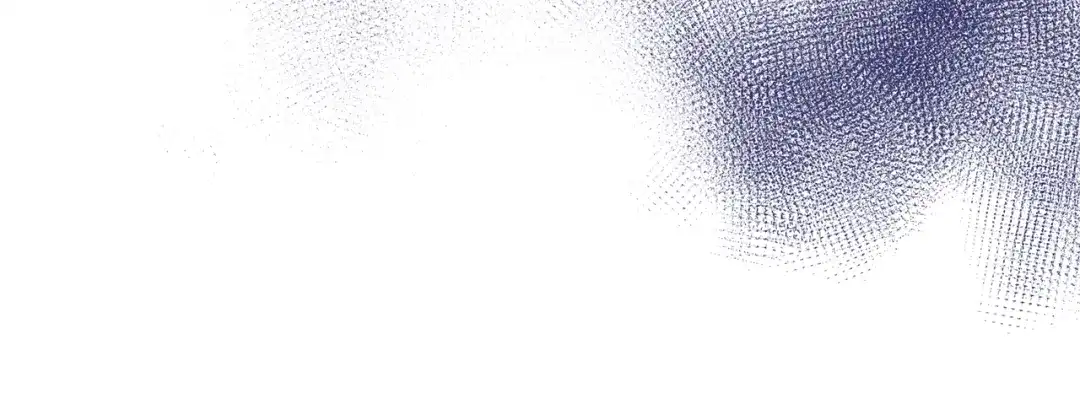 161.jpg