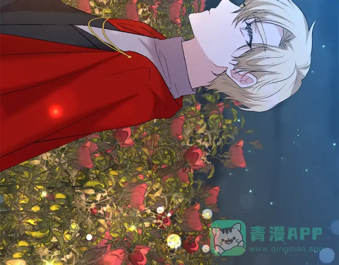《反叛皇子的御用教师》第15话 玫瑰园的浪漫约会 第41页