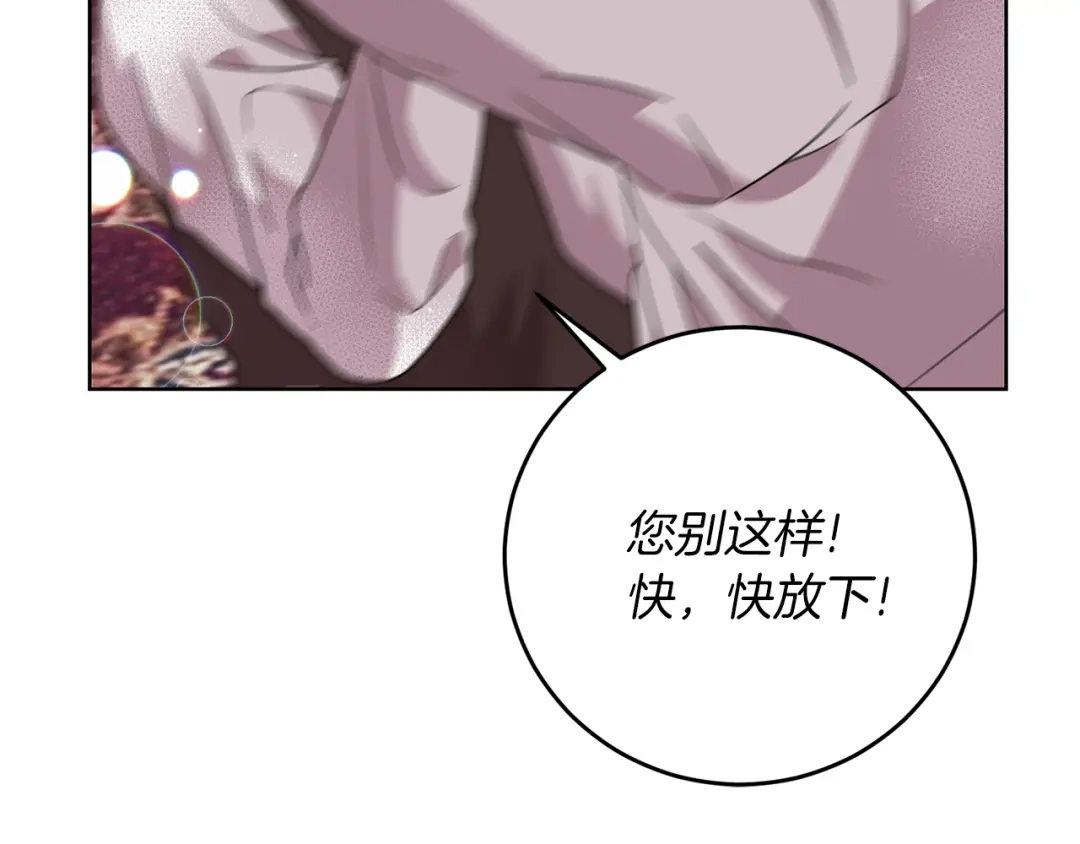 《反叛皇子的御用教师》第45话 诅咒 第17页